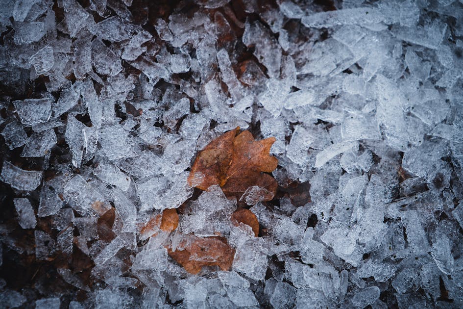 季節ごとのスキンケア — 春夏秋冬で変えるべきお手入れのポイント